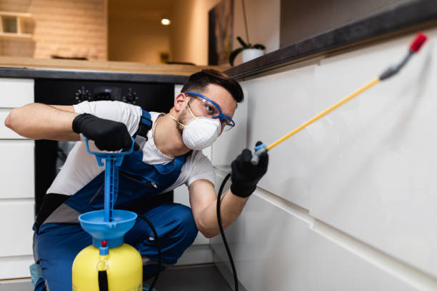 Best Pest Removal Services  in Eatons Neck, NY