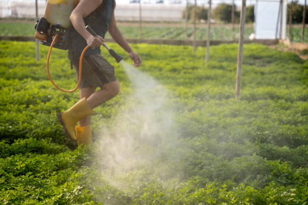 Best Commercial Pest Control Services  in Eatons Neck, NY