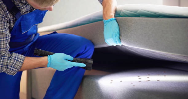 Best Ant Control Services  in Eatons Neck, NY