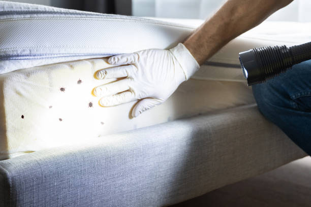Best Commercial Pest Control Services  in Eatons Neck, NY