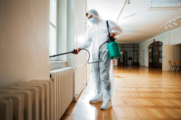 Wasp Removal Services in Eatons Neck, NY