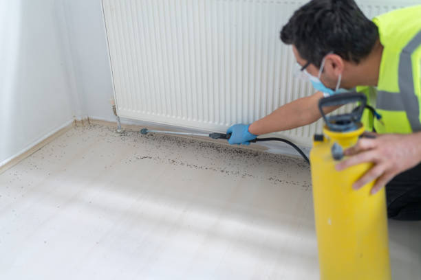 Best Pest Inspection Near Me  in Eatons Neck, NY