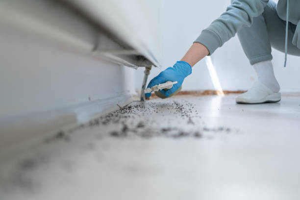 Best Pest Prevention Services  in Eatons Neck, NY